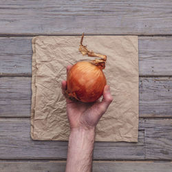 Cropped hand of person holding apple