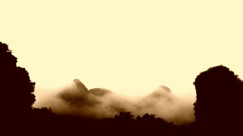 Low angle view of silhouette trees against clear sky