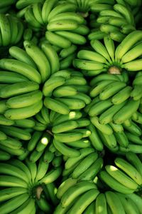 Full frame shot of bananas for sale in market