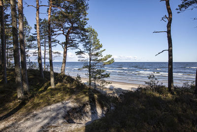 Scenic view of sea against clear sky