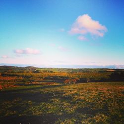 Scenic view of field against cloudy sky