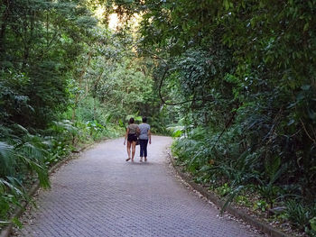 Rear view of women walking on footpath in forest