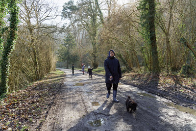 Rear view of man walking in forest with dog