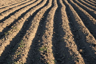 High angle view of shadow on field