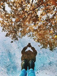 Low section of man photographing reflected tree on poodle