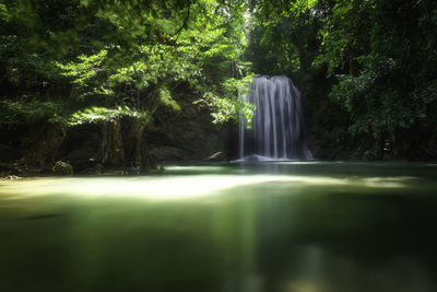 Scenic view of waterfall in forest