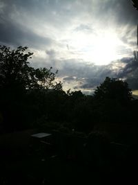 Silhouette trees against sky during sunset