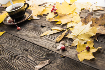 High angle view of leaves on table