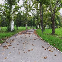 Road amidst trees against sky