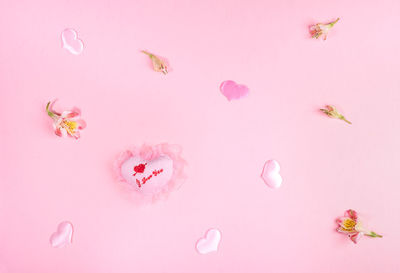 Close-up of pink flower over white background