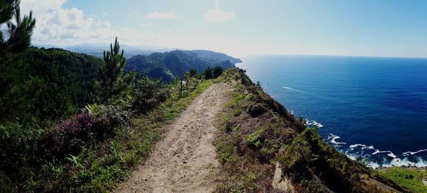 High angle view of plants by sea against sky