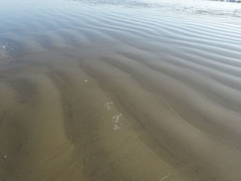 Full frame shot of wet sand