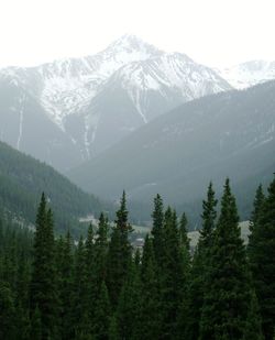 Scenic view of mountains