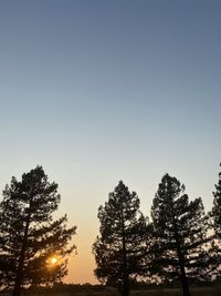 Low angle view of silhouette trees against clear sky