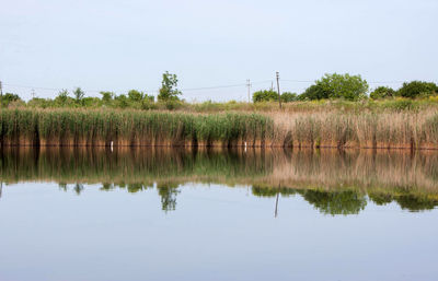 Scenic view of lake against clear sky