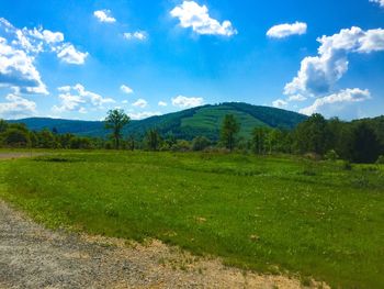 Scenic view of field against sky