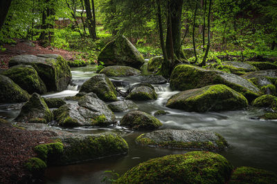 Stream flowing through rocks in forest