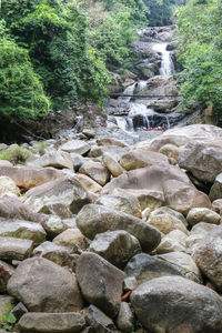 View of stone wall