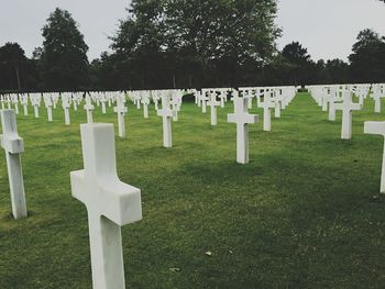 Tombstones in cemetery