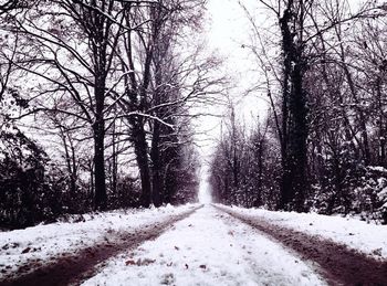 Road amidst bare trees in forest during winter