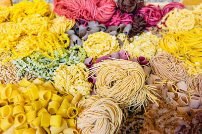 High angle view of multi colored various flowers