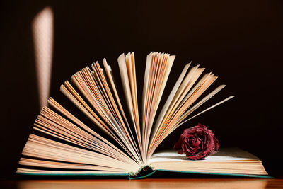Close-up of book and rose on table