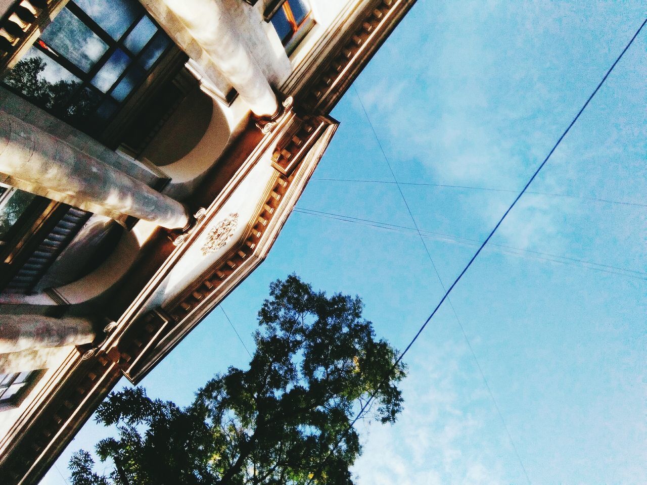 tree, low angle view, built structure, architecture, sky, building exterior, directly below, blue, day, cable, outdoors, no people, power line, long, cloud - sky