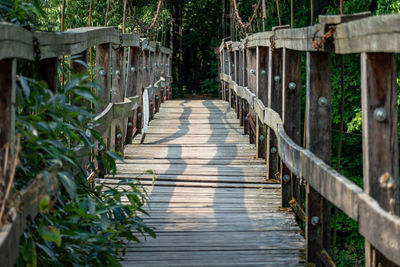 Narrow footbridge along plants
