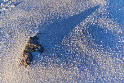 High angle view of footprints in snow