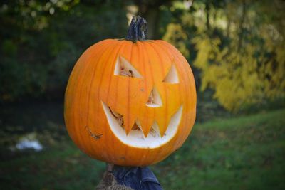 Close-up of pumpkin on orange pumpkins during autumn