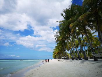 Palm trees on beach against sky