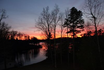 Silhouette trees against sky during sunset