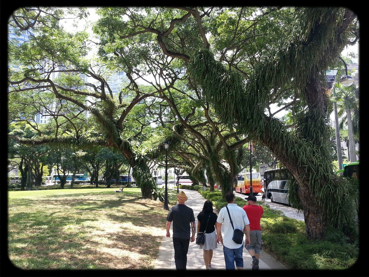 tree, transfer print, lifestyles, men, leisure activity, person, rear view, auto post production filter, walking, growth, full length, building exterior, togetherness, standing, casual clothing, built structure, day, green color