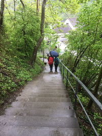 Rear view of woman walking in forest