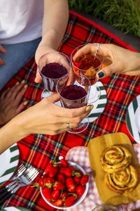 Beautiful picnic in nature with a red checkered bedspread and wine. girls cheering 