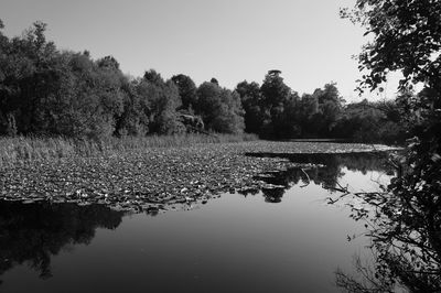 Scenic view of lake against clear sky