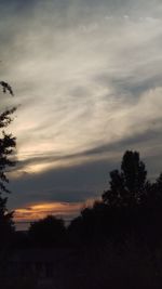 Silhouette trees against sky during sunset