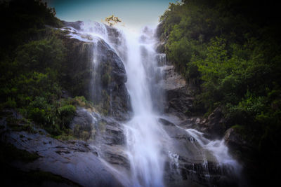 Scenic view of waterfall in forest