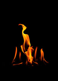 Close-up of bonfire against black background