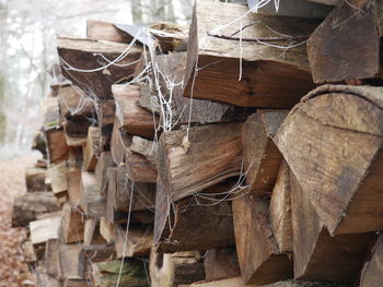 Close up of firewood