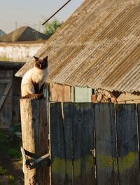 Close-up of wooden fence