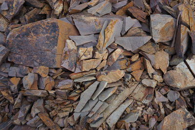 Full frame shot of dried leaves on field