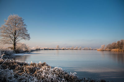 Scenic view of lake against clear blue sky