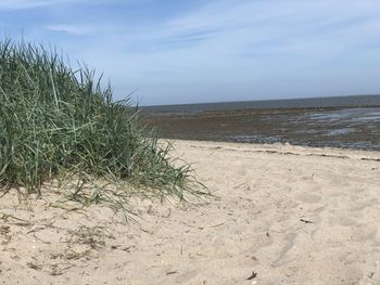 Scenic view of beach against sky