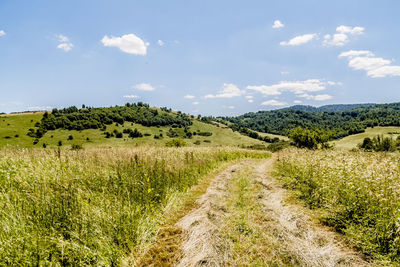 Scenic view of field against sky