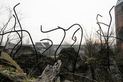 Low angle view of bare trees against sky