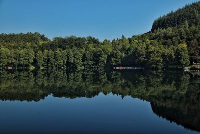 Scenic view of lake by trees against clear sky