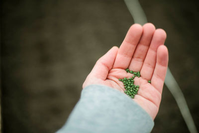 Cropped hand of woman holding plant