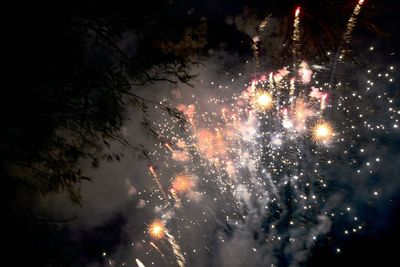 Low angle view of firework display at night