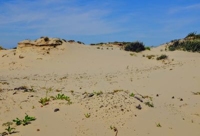 Scenic view of beach against sky